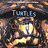 Turtles -- A Terrific Book for Kids!
